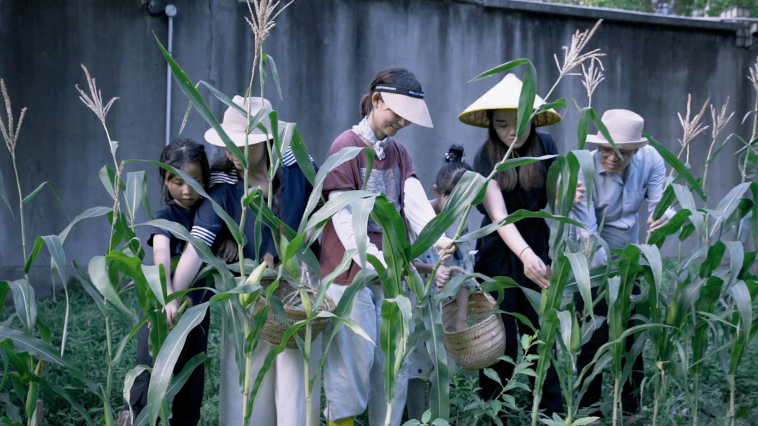 香港KFarm · 高科技农场的绿色奇迹丨中国香港丨陈启豪等-122