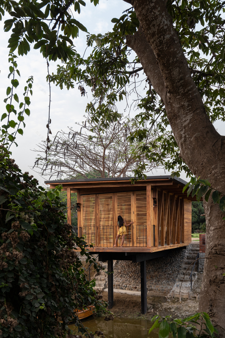 融合自然的茶室丨厄瓜多尔洛斯里奥斯-11