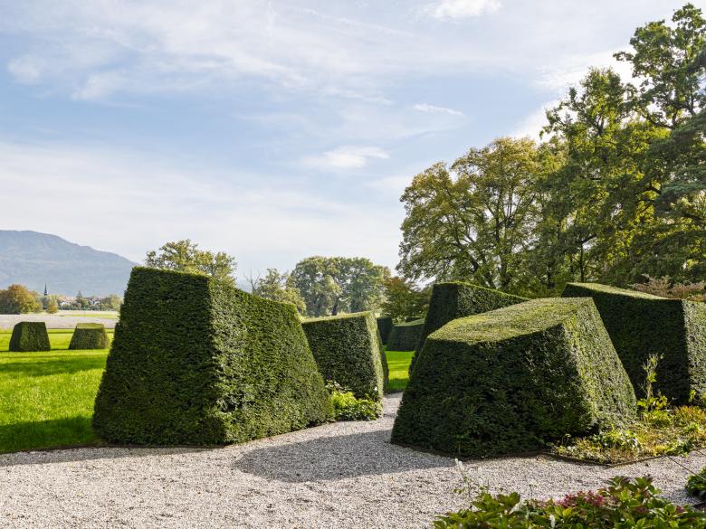 Geneva项目（未明确具体名称）-6