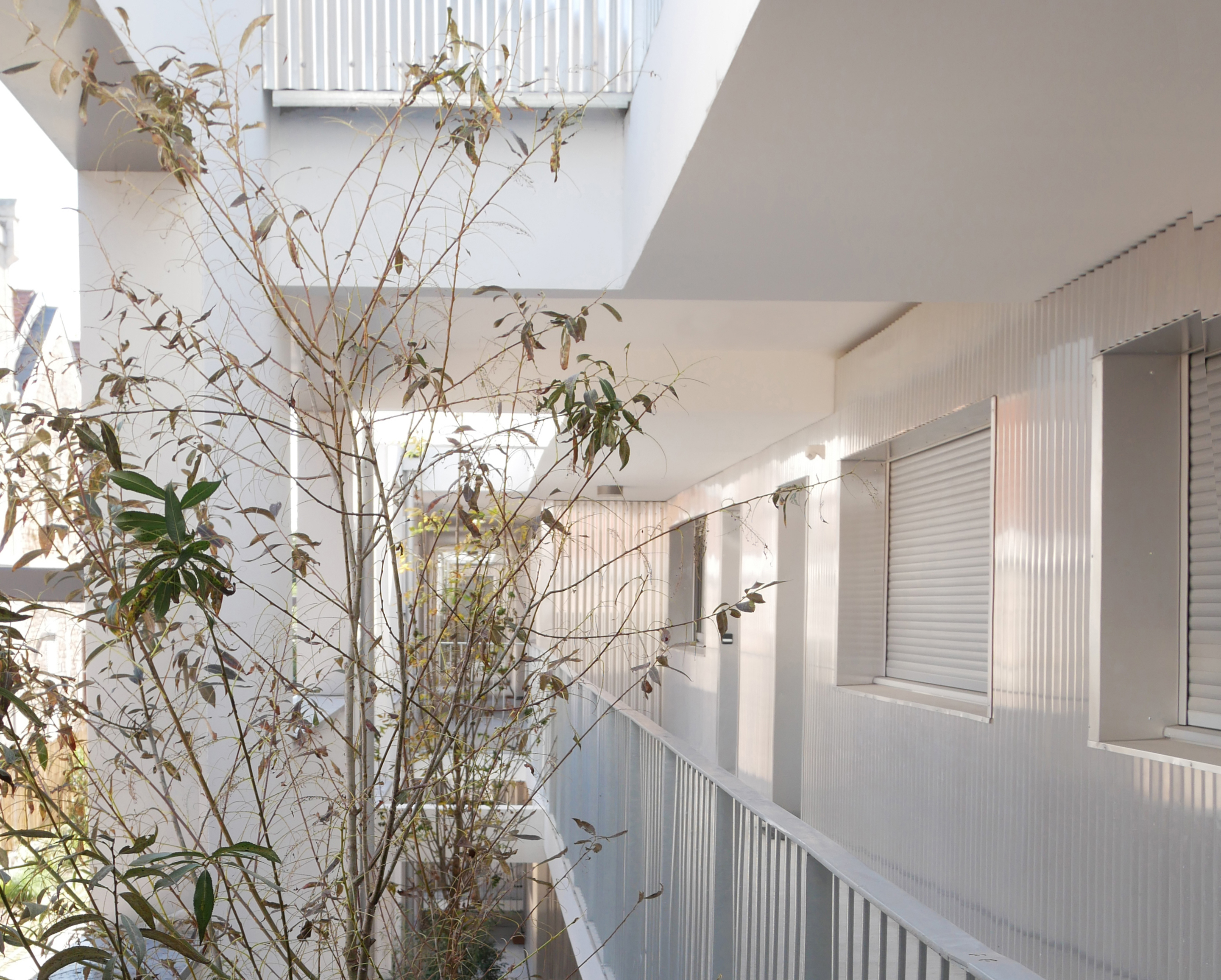 埃科丨Duncan Lewis SCAPE ARCHITECTURE-30