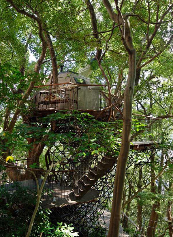 300老樹木屋計畫「熱海鳥居」（Kusukusu）丨日本丨日本小林崇,NAP Architects-3