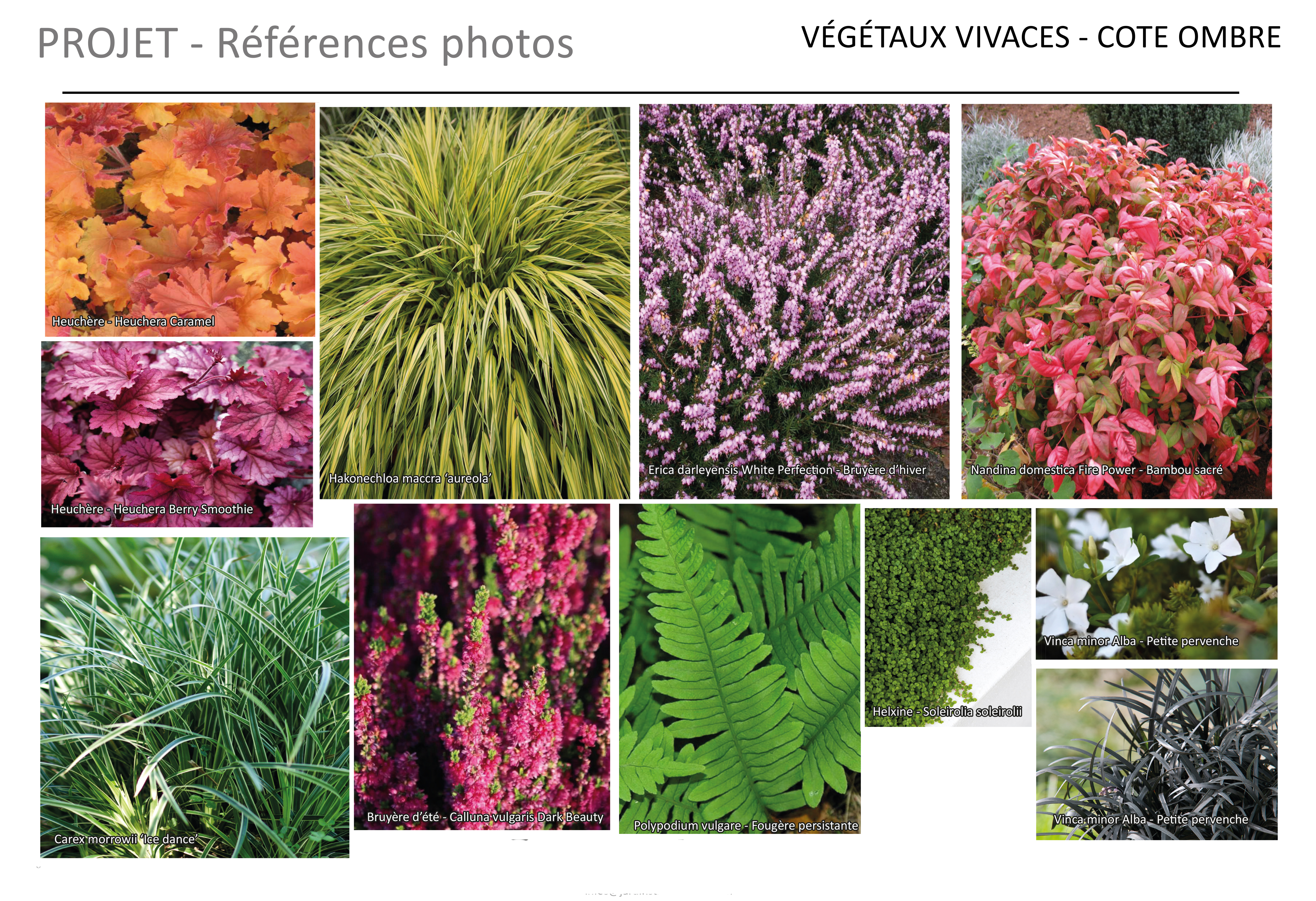 Neuilly Sur Seine某公寓入口景观设计项目-14