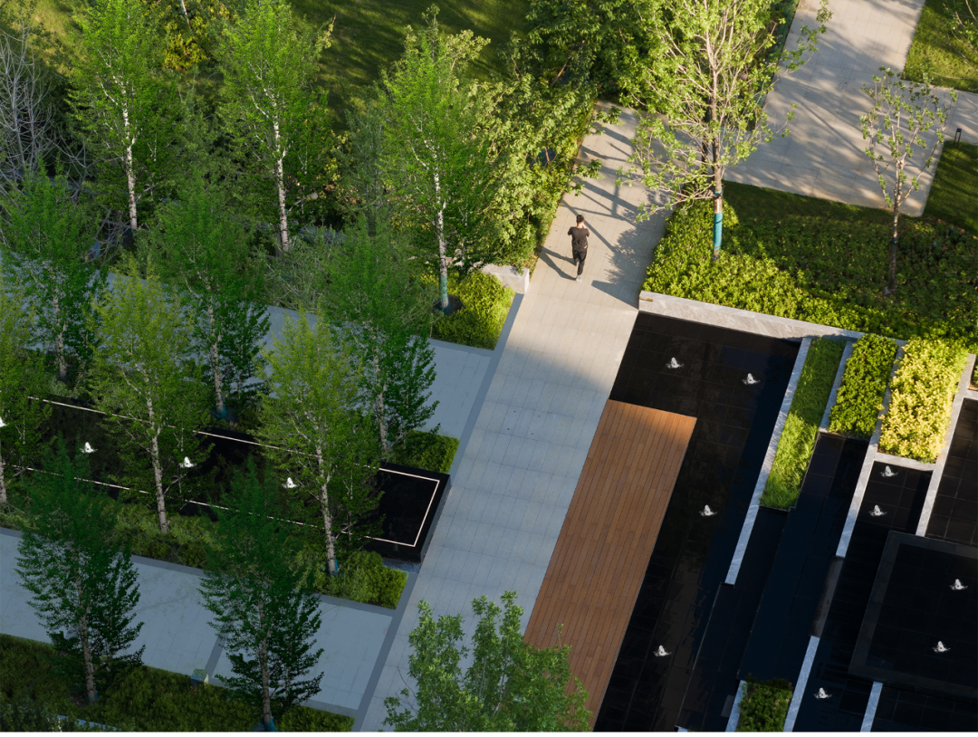 中交·楼山春晓·青岛丨中国青岛丨麦田景观-1