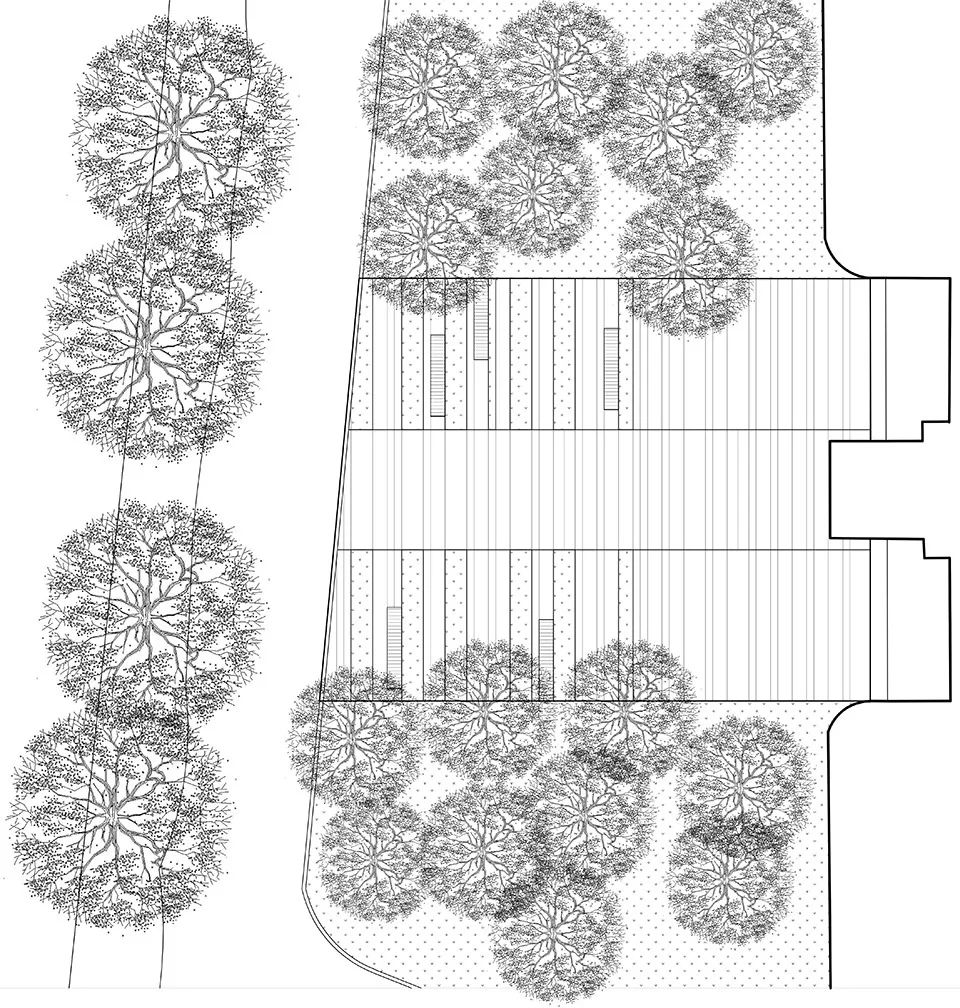 同济大学四平路校区四个广场绿色空间营造-83