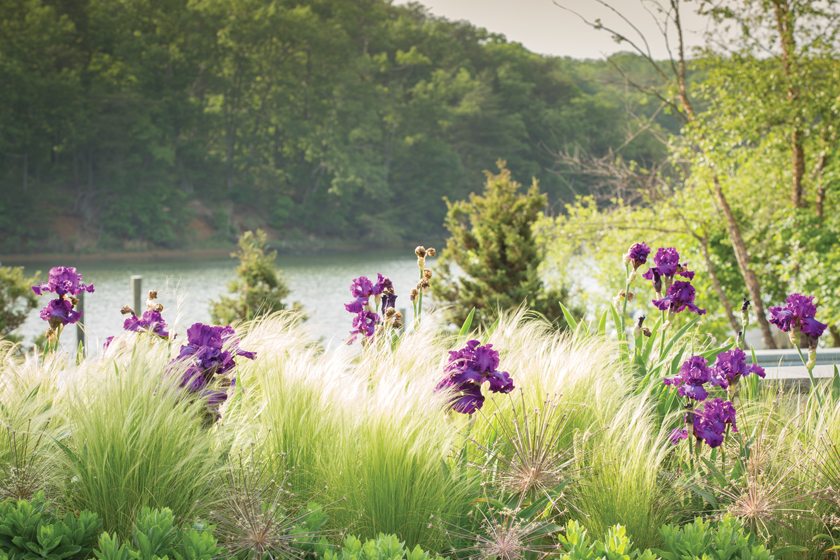 Annapolis泳池及景观项目丨马里-3