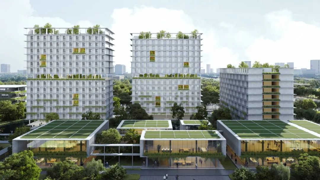 佛山一中顺德校区丨中国佛山丨陈东华建筑事务所+顺德院-90