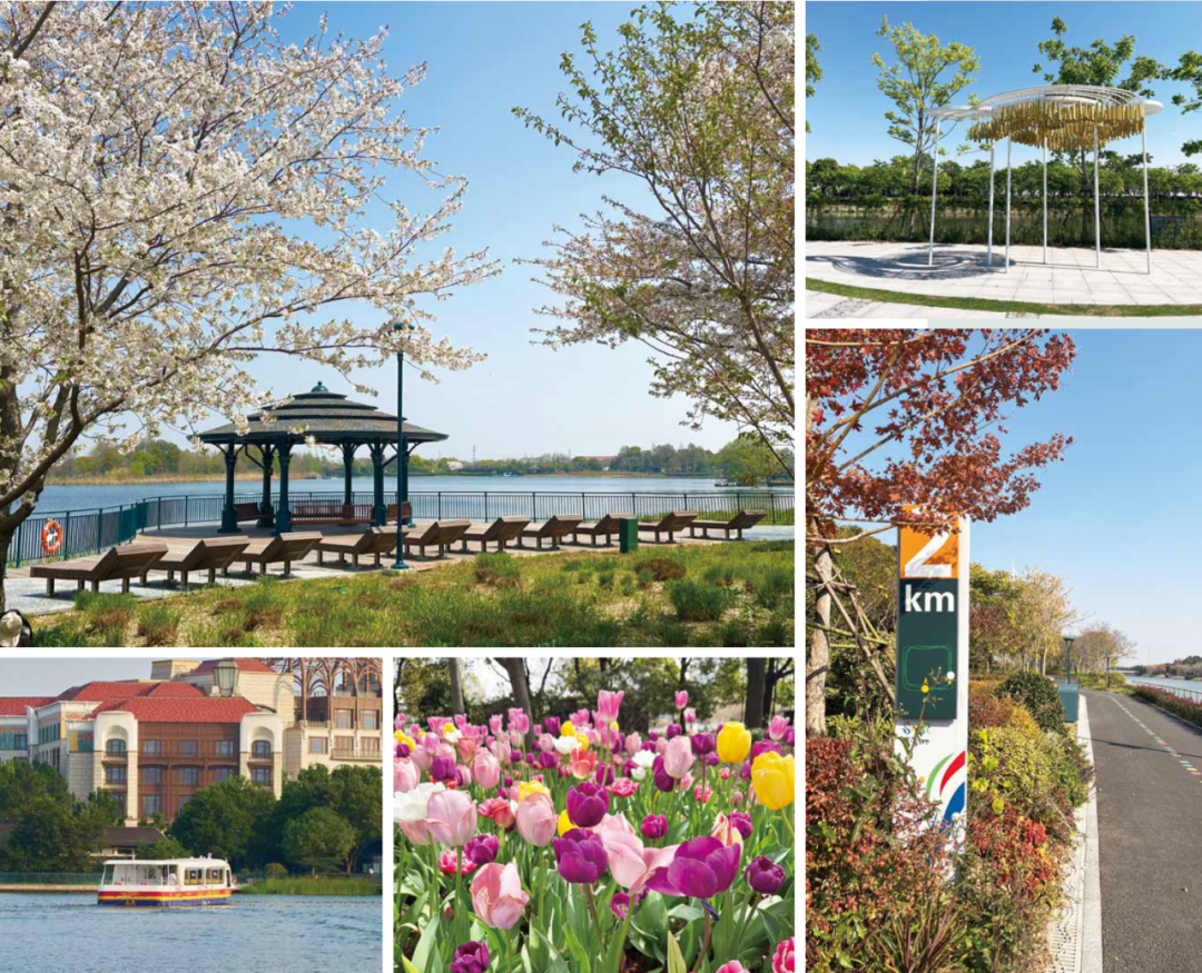 勝地|到公园去探探“动静”！-0