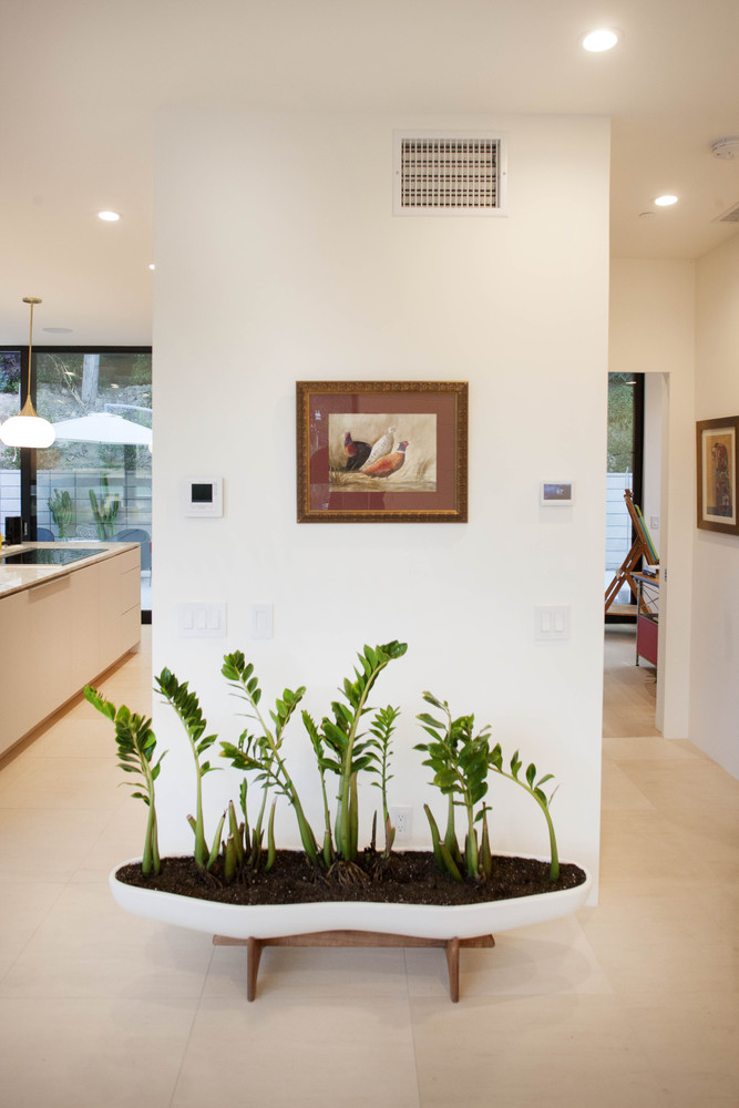 美国Clea住宅丨Soheil Nakhshab-45