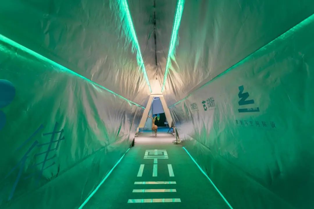 《律动城市》——探寻人与自然、人与城市、城市与自然的规律-8