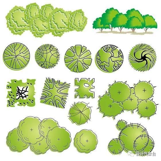 青春系彩平植物素材-51