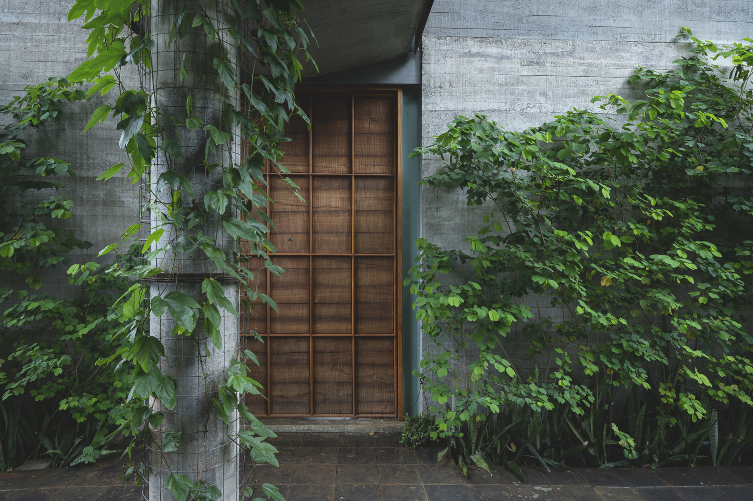 印度 Kozhikode 反思之家丨Thought Parallels-37