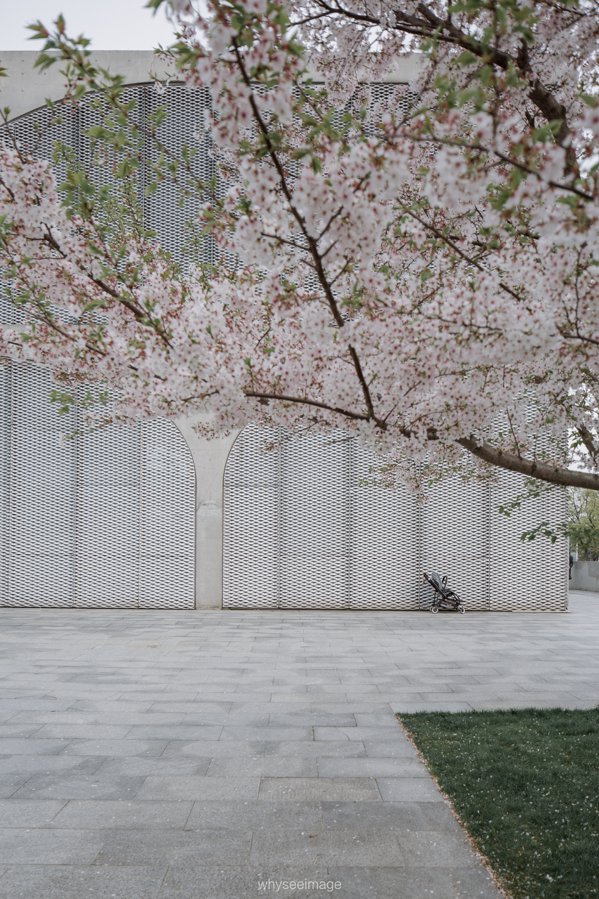 樱花+龙美术馆丨中国上海丨大舍建筑设计工作室-20