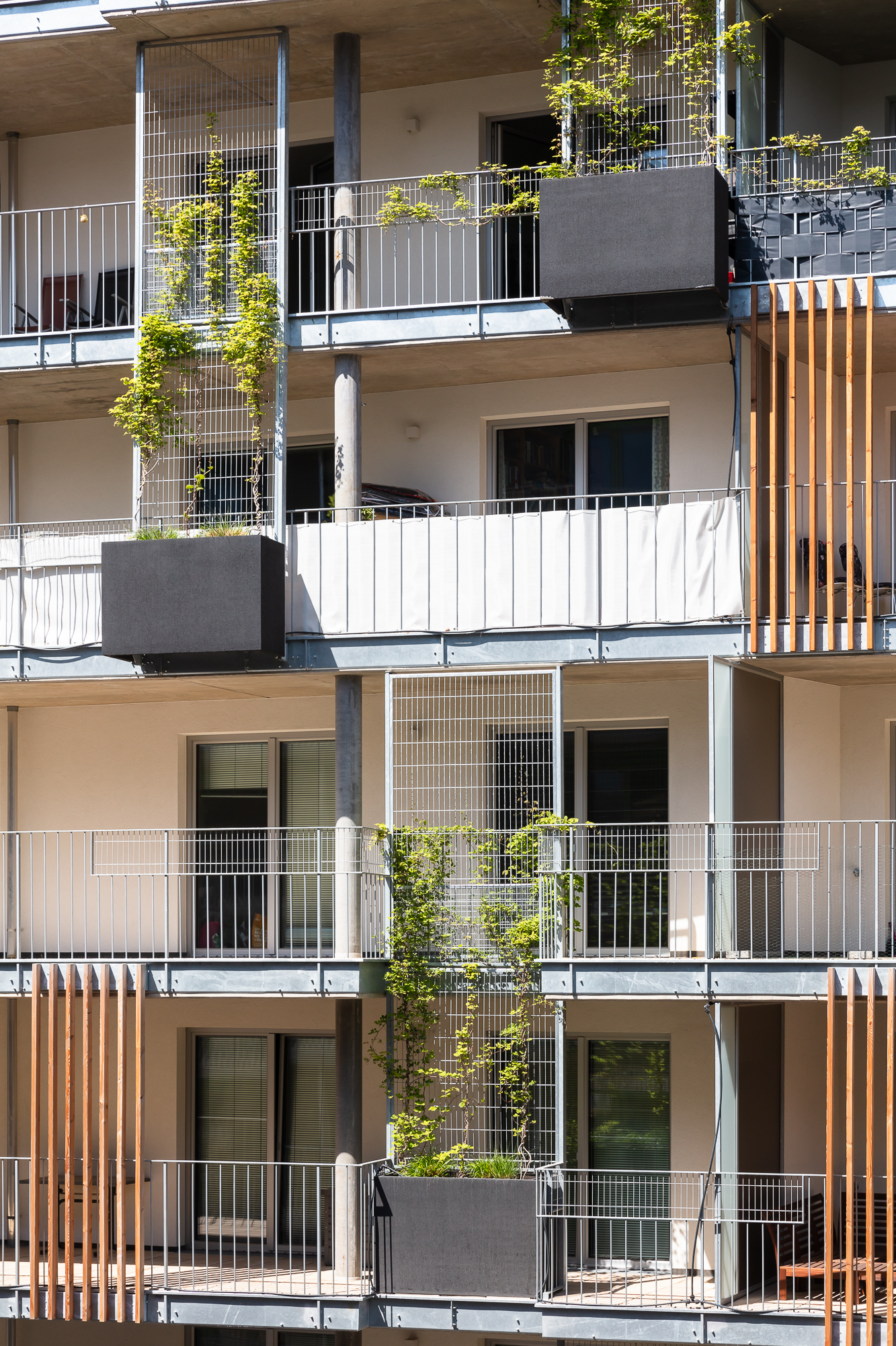 生活花园丨INNOBA-11