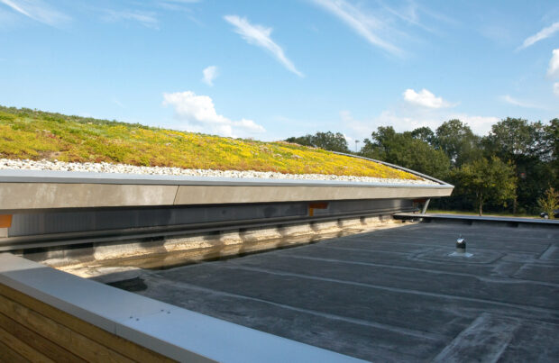 Hardenberg动物诊所项目-25