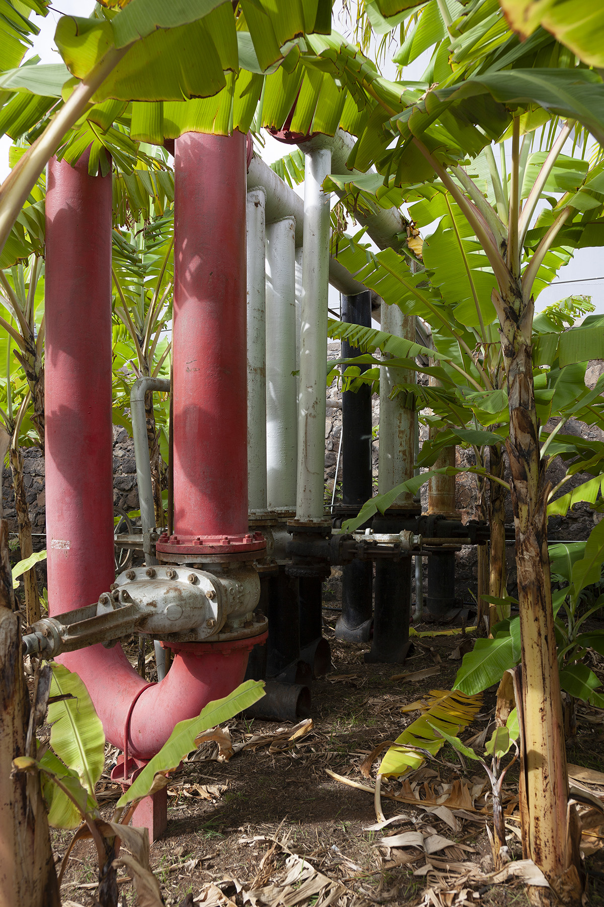 西班牙El Tanque文化空间丨Fernando Menis-43