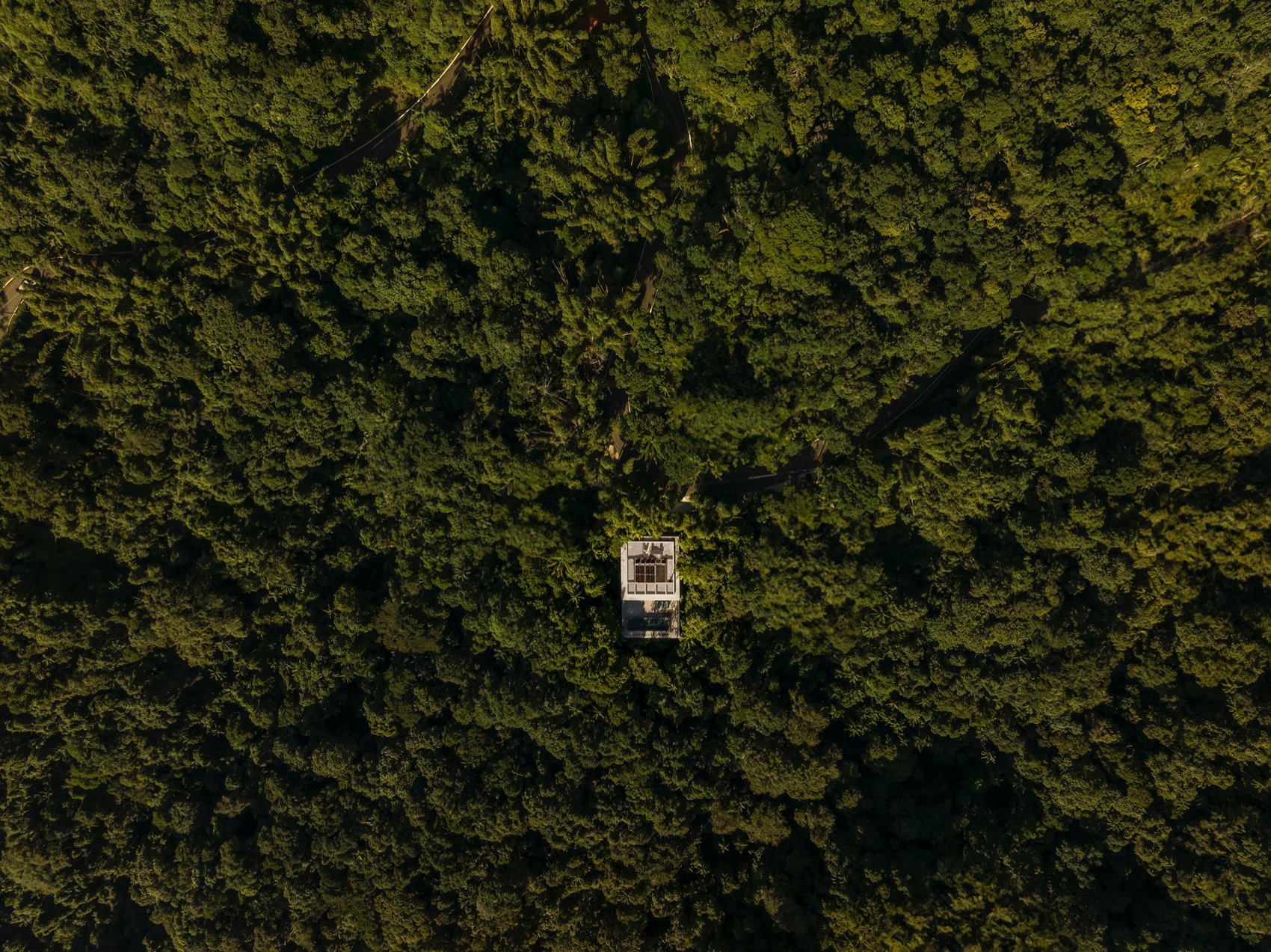 树冠住宅丨巴西圣保罗丨Studio mk27-143