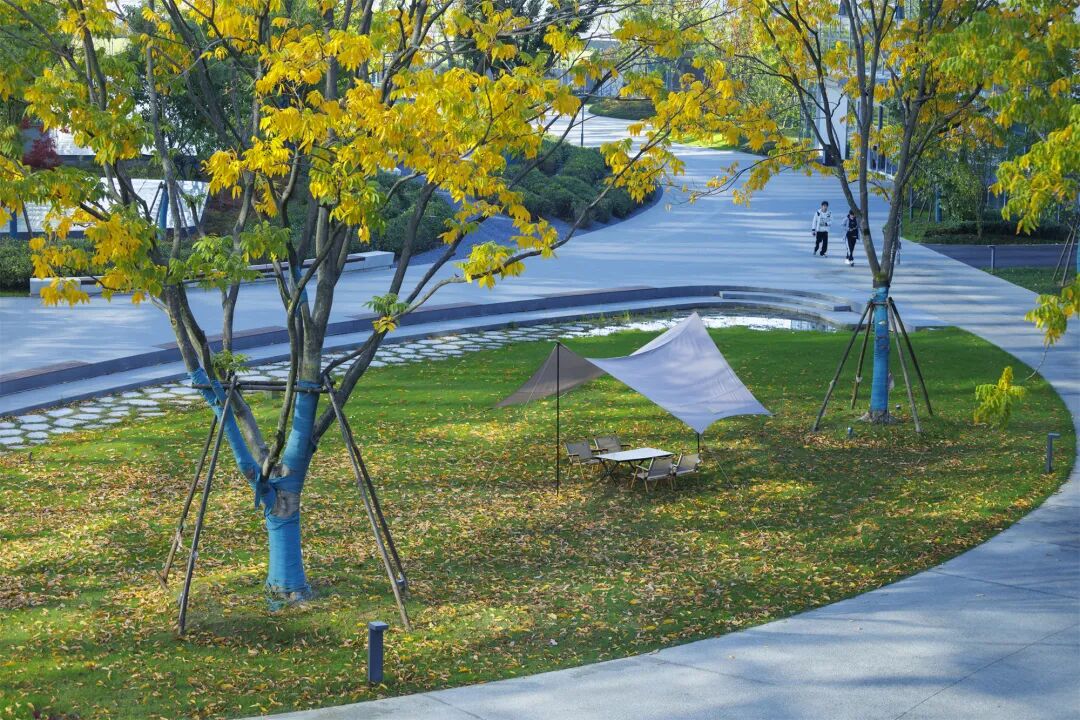 阿里巴巴南湖未来科学园丨中国杭州丨阿普贝思UP+S-123