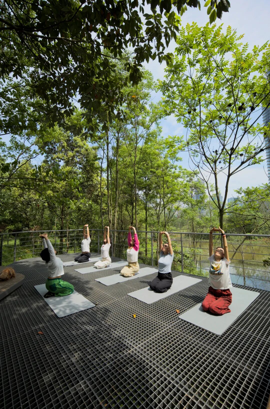 城市掌心的生态山野——麓野公园-297