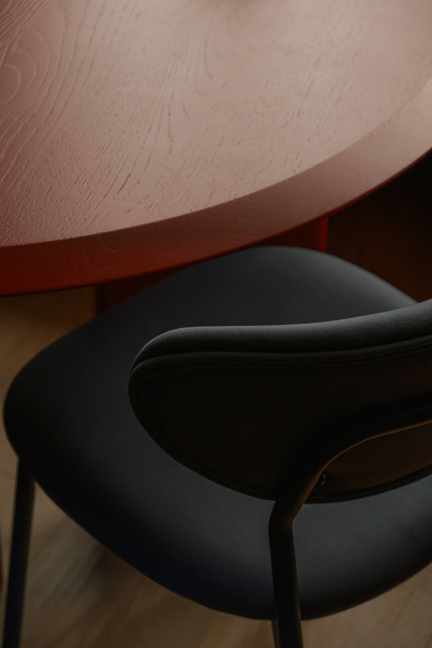 单元住宅公寓丨乌克兰基辅丨Yulia Larina,Dmytro Potomkin-16