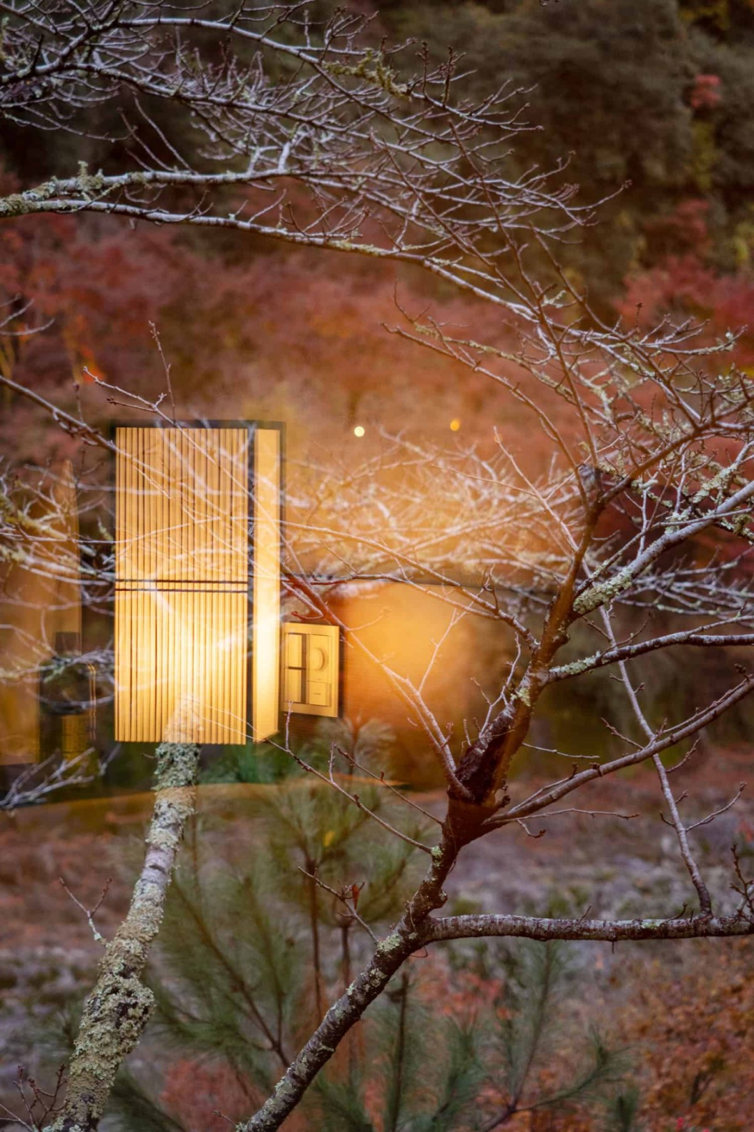 京都虹夕诺雅度假酒店丨日本京都丨Azuma Architect（东环境建筑事务所）-28