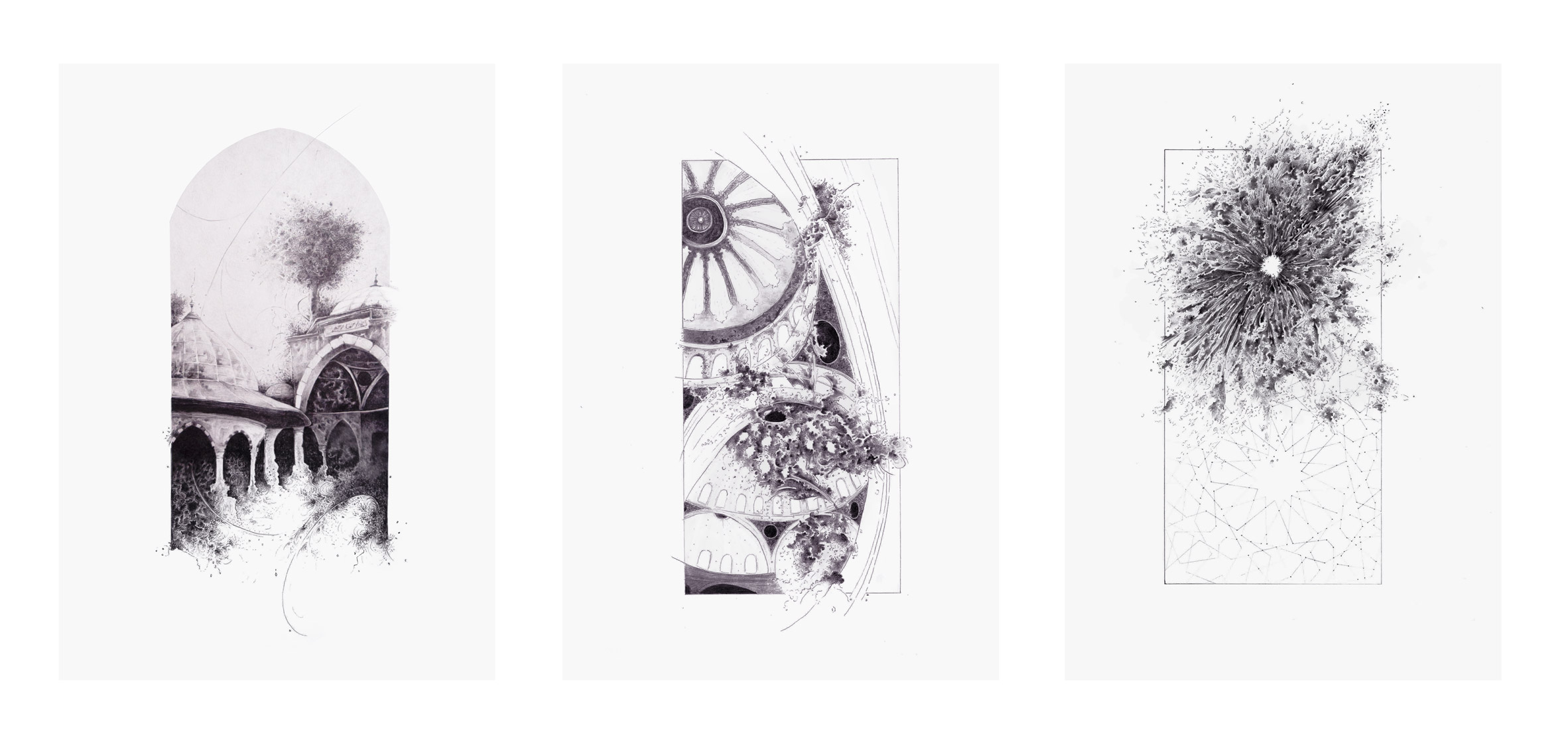 Carleton 建筑毕业生呈现 15 个具有挑衅性和政治性的项目-93