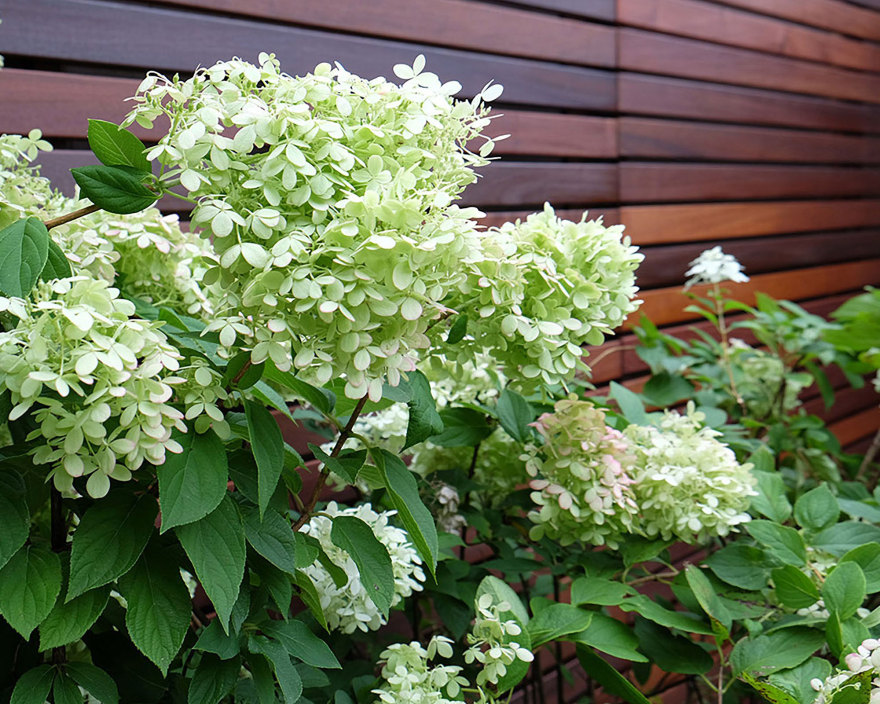 丨美国芝加哥-17