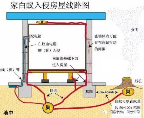 广州别墅白蚁预防处理丨中国广州丨尚层装饰-50