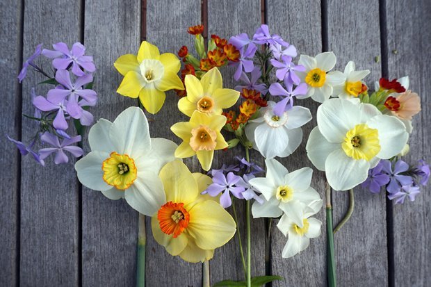 德普莱纳的小菜园丨德国柏林丨Büro Christian Meyer-1