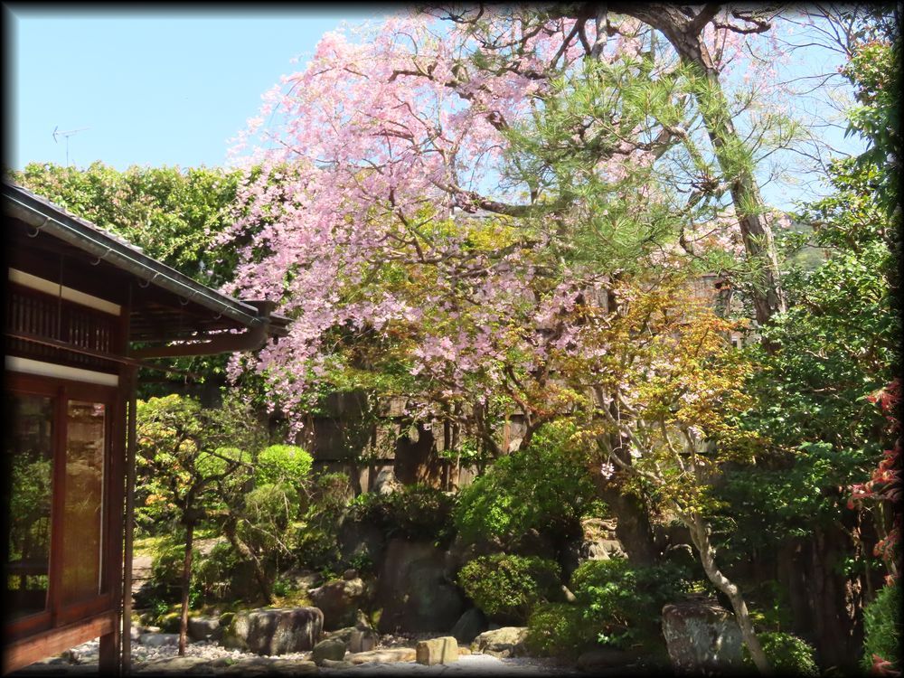 山科伯爵邸源鳳院丨日本京都丨七代目小川治兵衛-27