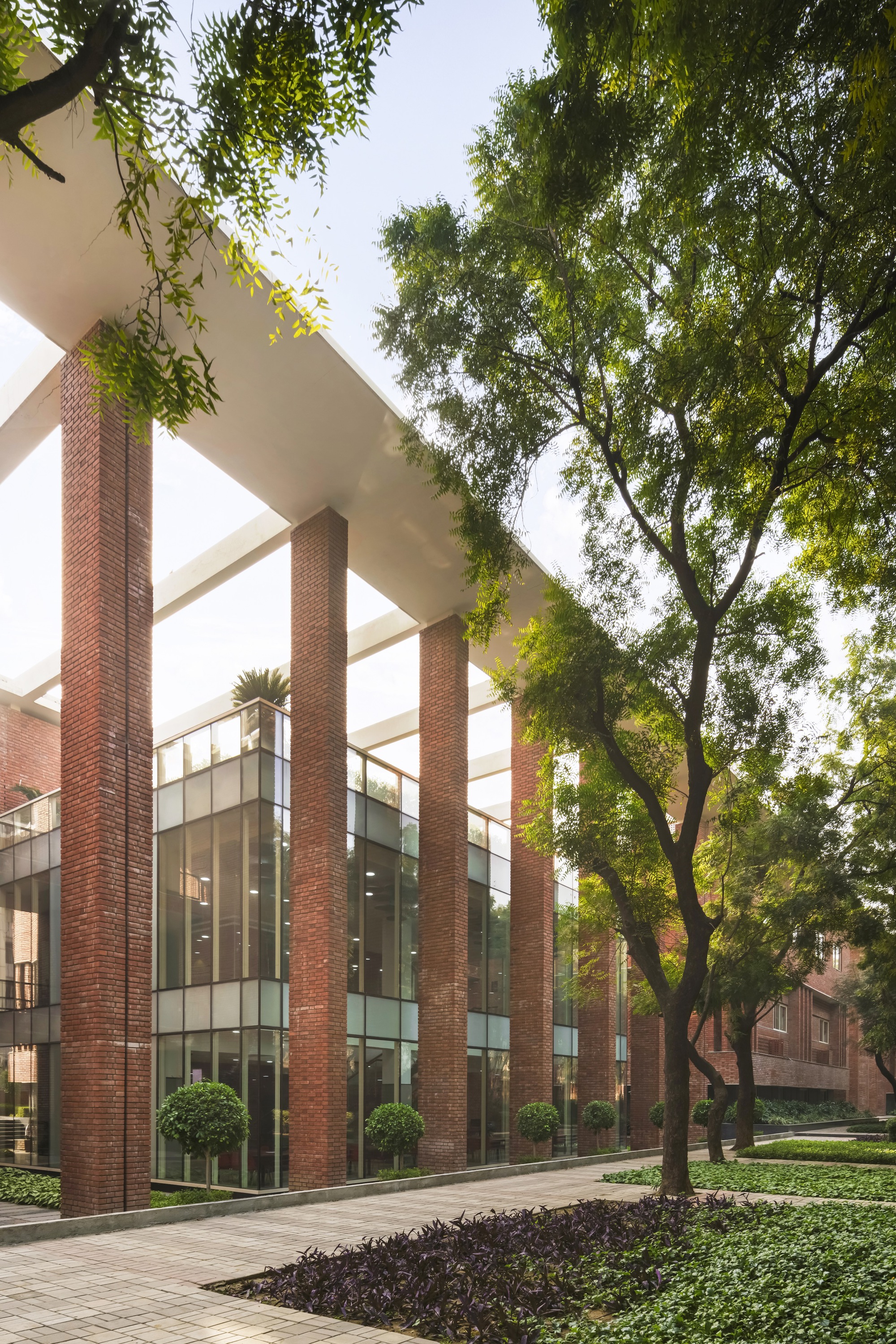 拉利特苏里酒店管理学院丨印度丨Morphogenesis-22