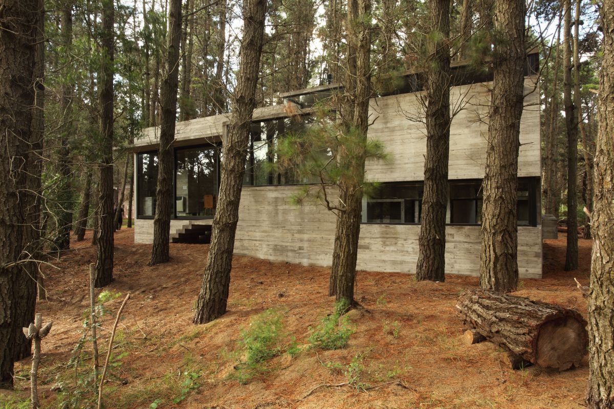 阿根廷森林中的雪儿别墅-18