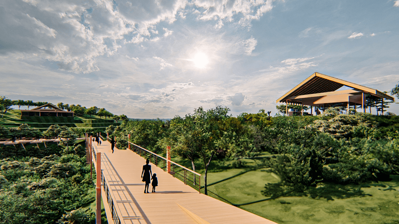 城市菜园丨哥斯达黎加圣何塞-12