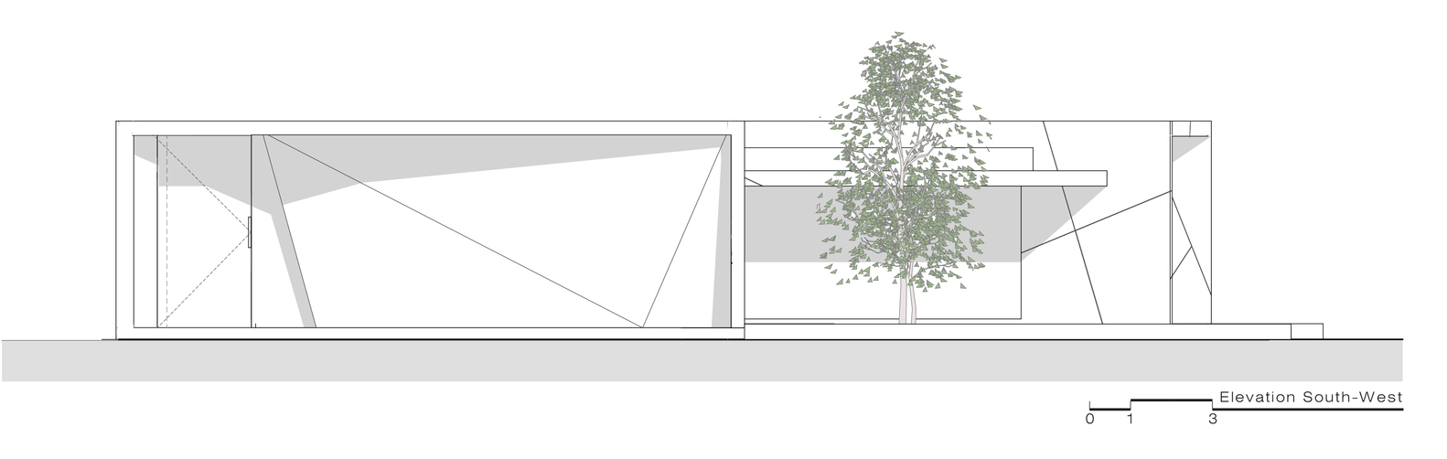 Diamond Tree（钻石树）-83