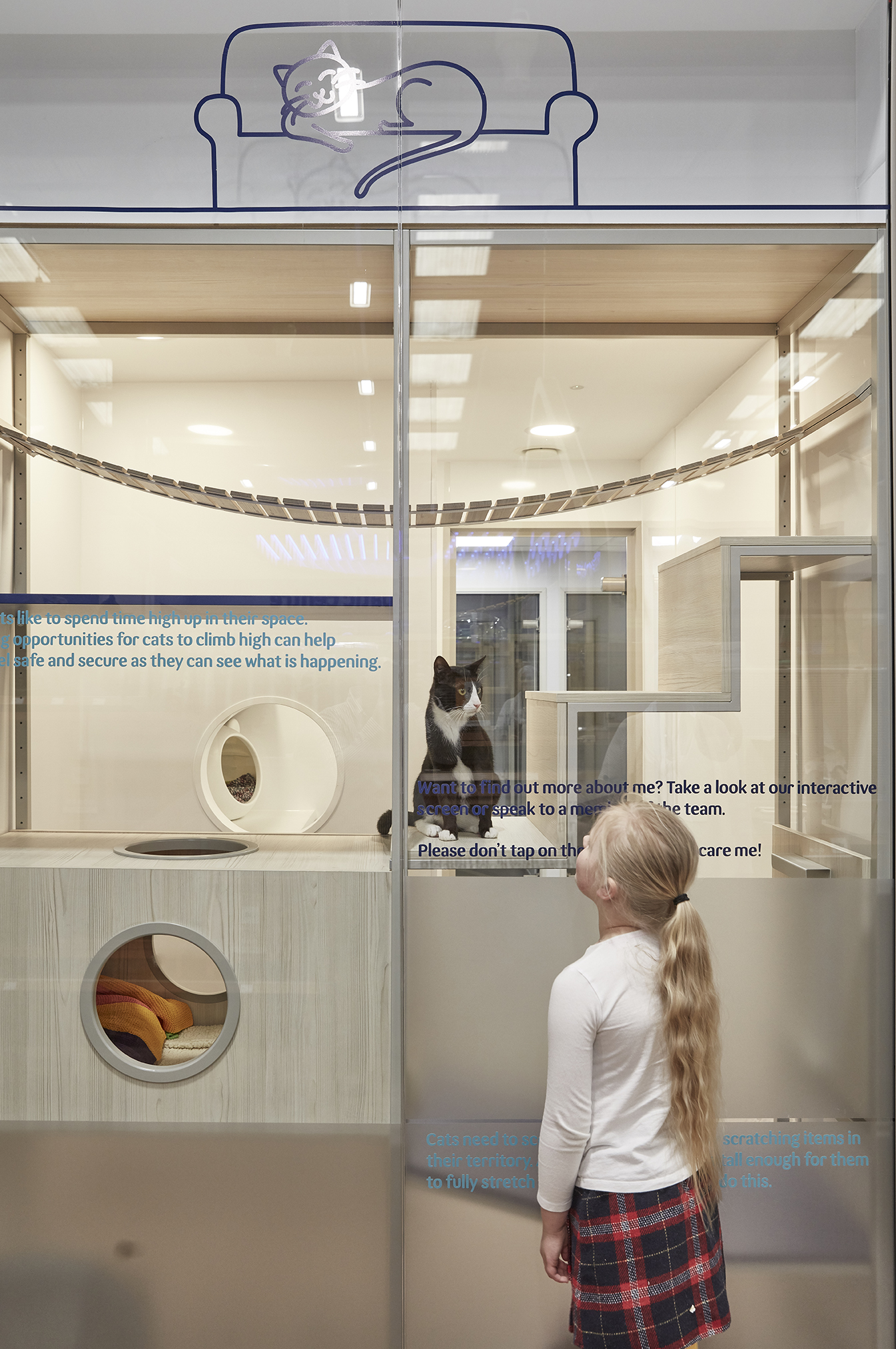 "Pets at Home"新型宠物店概念设计,打造互动式宠物体验空间-13