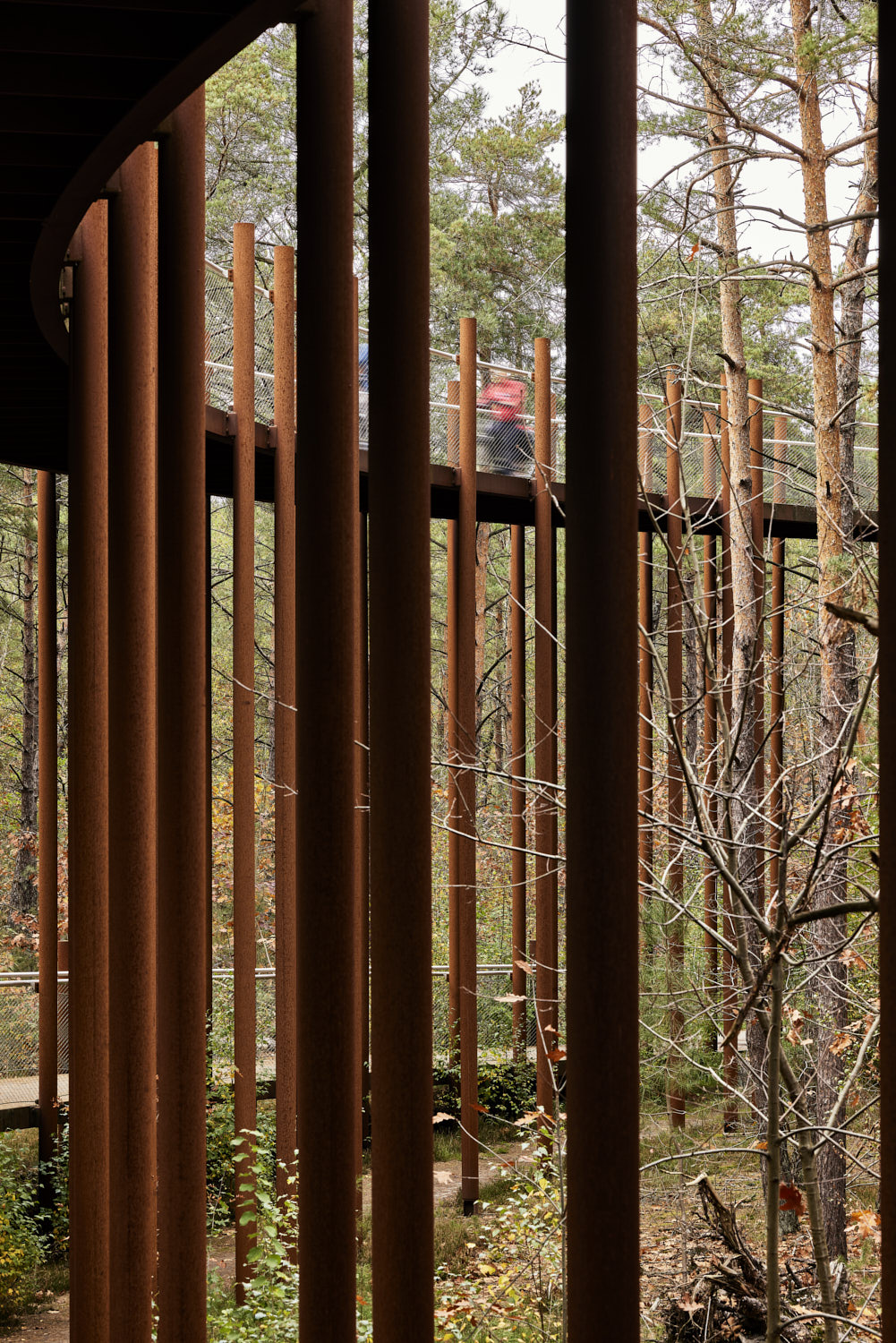 在树林中骑行丨Visit Limburg-18