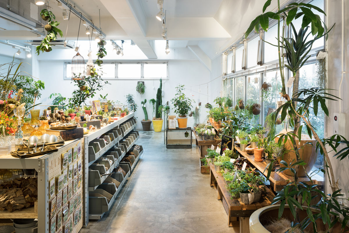 TODAY’S SPECIAL Jiyugaoka Renovation | Schemata Architects / Jo Nagasaka-8