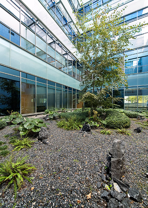 Madrid 办公大楼庭院花园 · 有机自然主义的设计实践-40