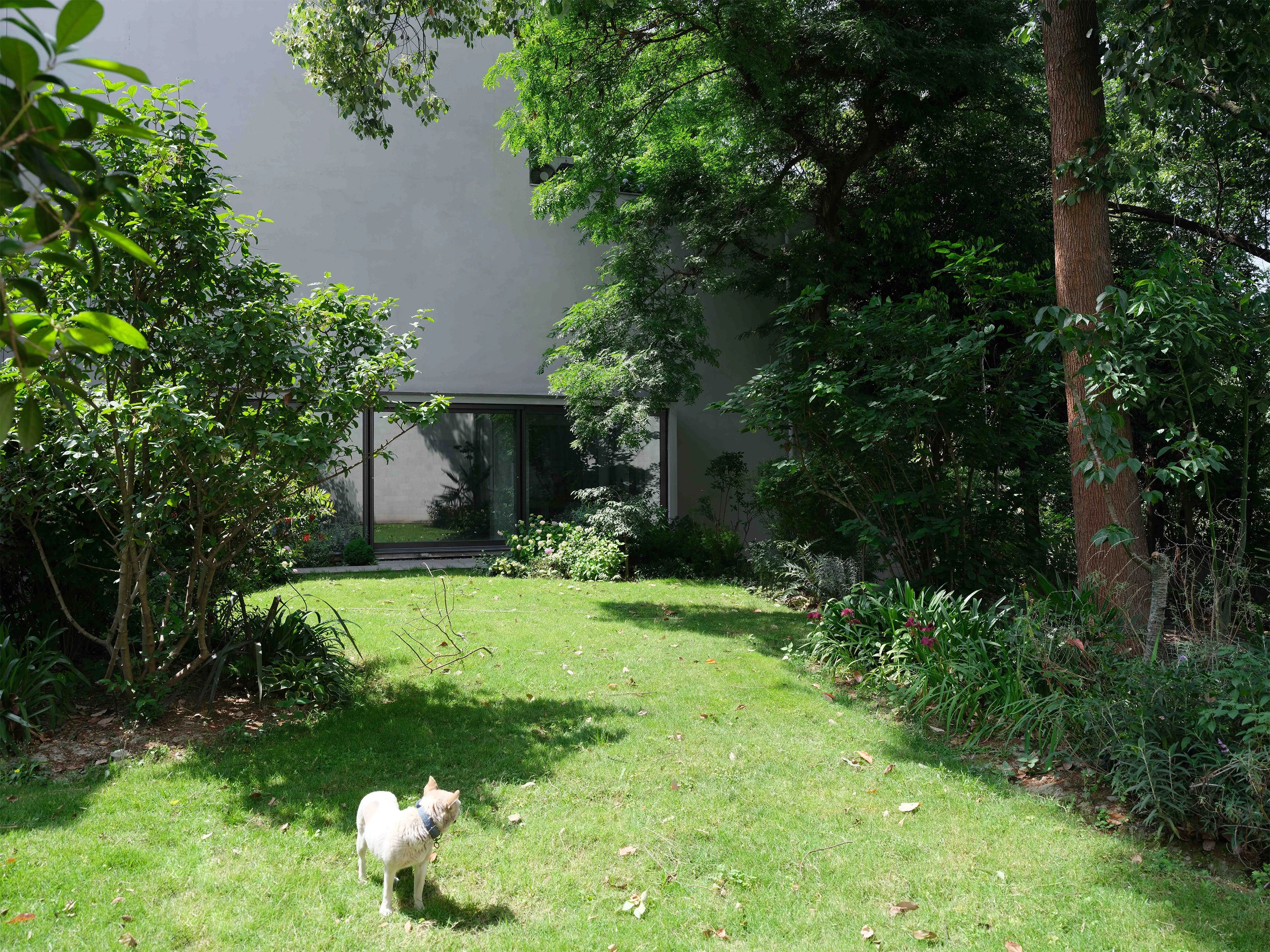 蓝顶艺工作室改造丨中国成都丨成都相对建筑设计有限公司-36