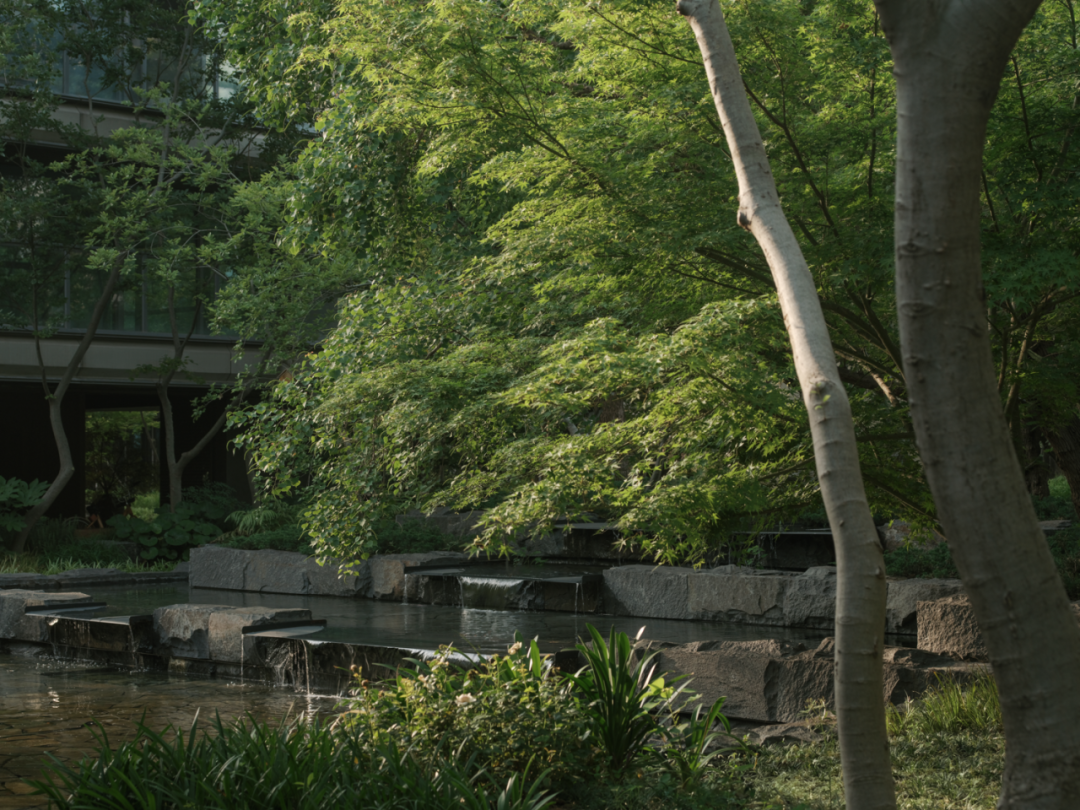 苏州和悦塘前雅院大区丨中国苏州丨MIND迈德景观-3