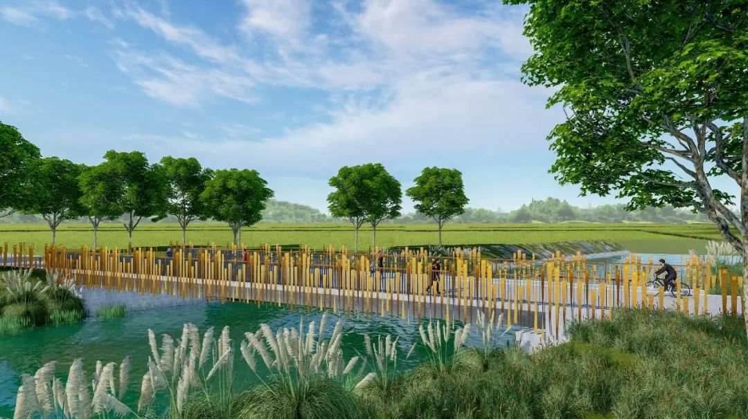 锦城绿道东段(成彭高速成洛大道段)景观桥设计丨中国成都丨CDAD-23