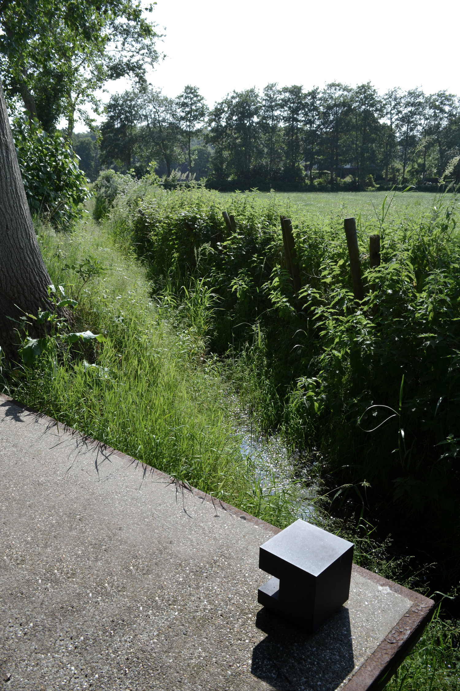 斯霍尔花园丨荷兰丨Andrew van Egmond-34