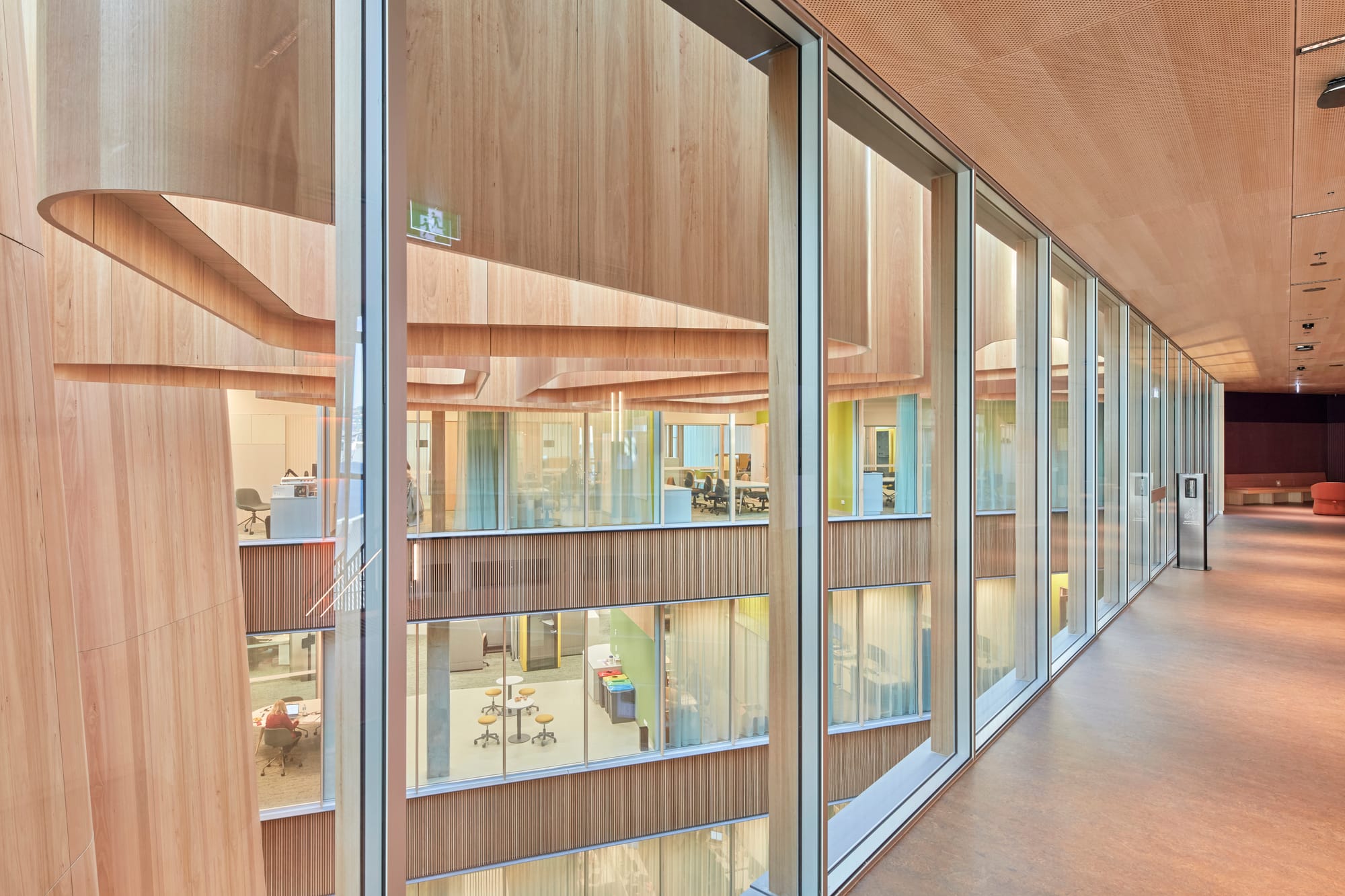 Tasmanian Timber Series: River's Edge-9