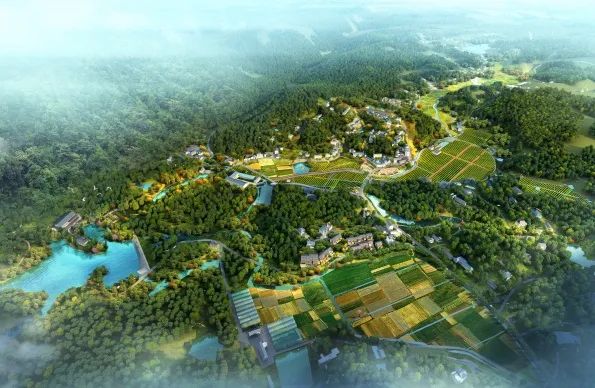 九峰村变形记 | 美丽乡村建设的中国实践-29