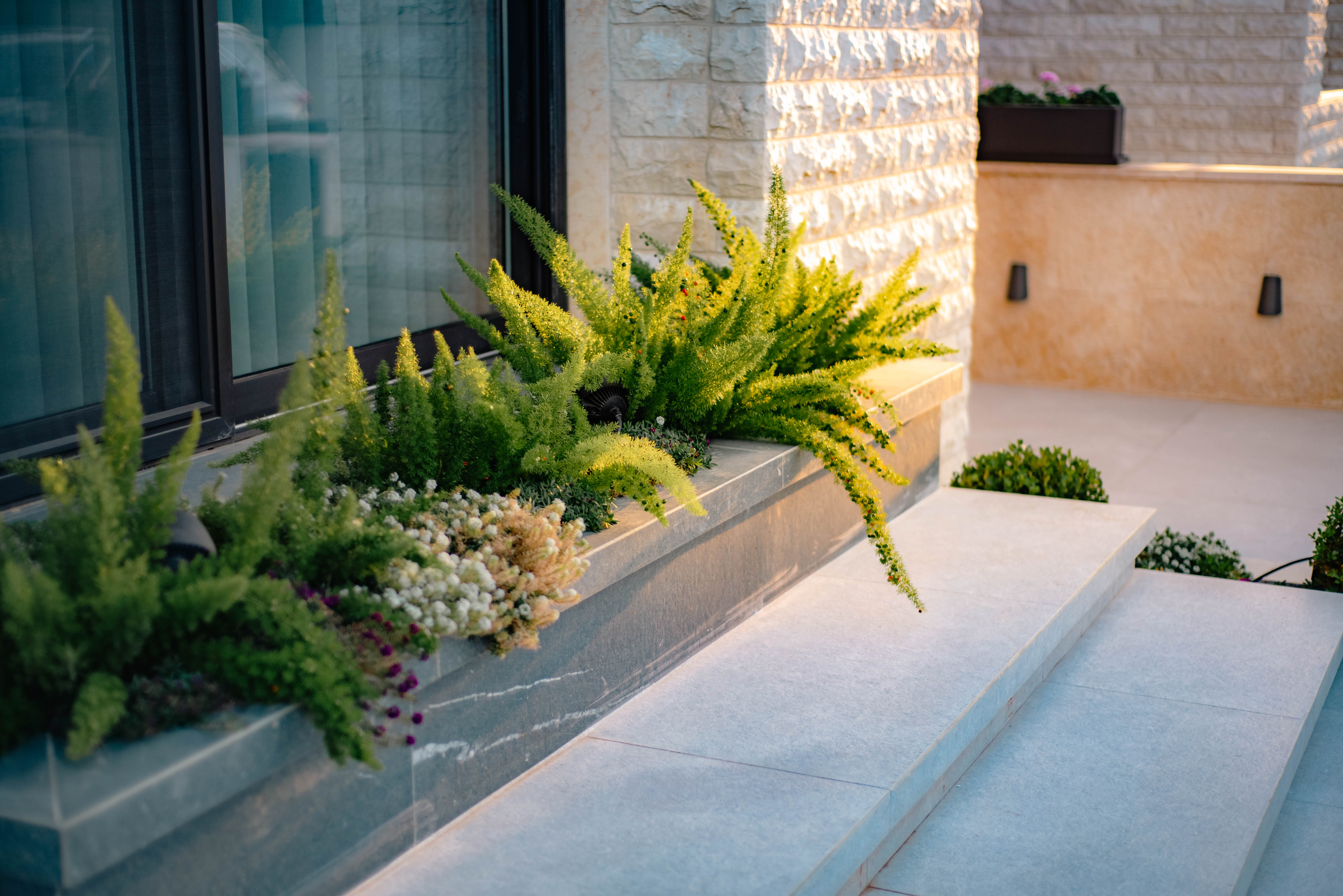 Landscape Desgin Photography-11