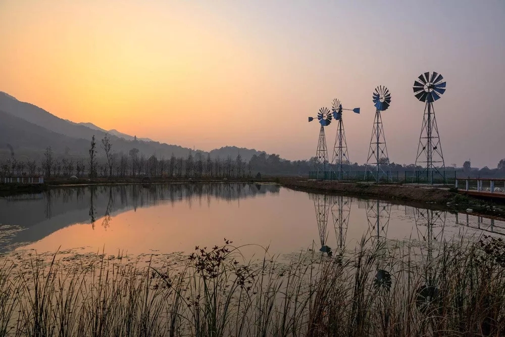 秦岭国家植物园田峪河湿地公园景观设计-56