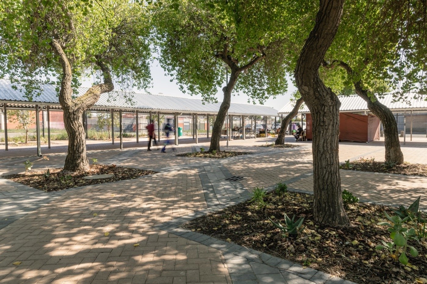 南非 Bonteheuwel 镇中心升级丨Tarna Klitzner 景观建筑师,Terra+景观建筑师-27