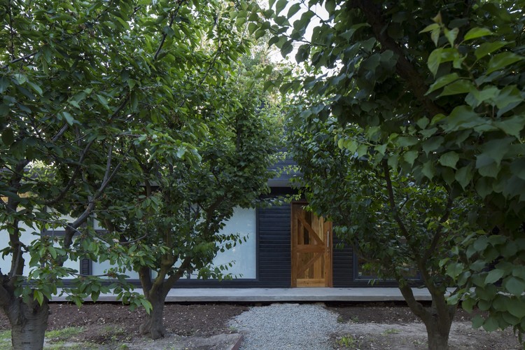 智利 Calera de Tango 市政教育公司体育馆设计-16