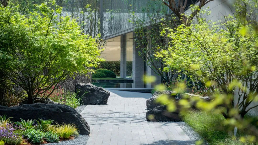 金科·星宸海 | 城市山林中的星辰大海-136