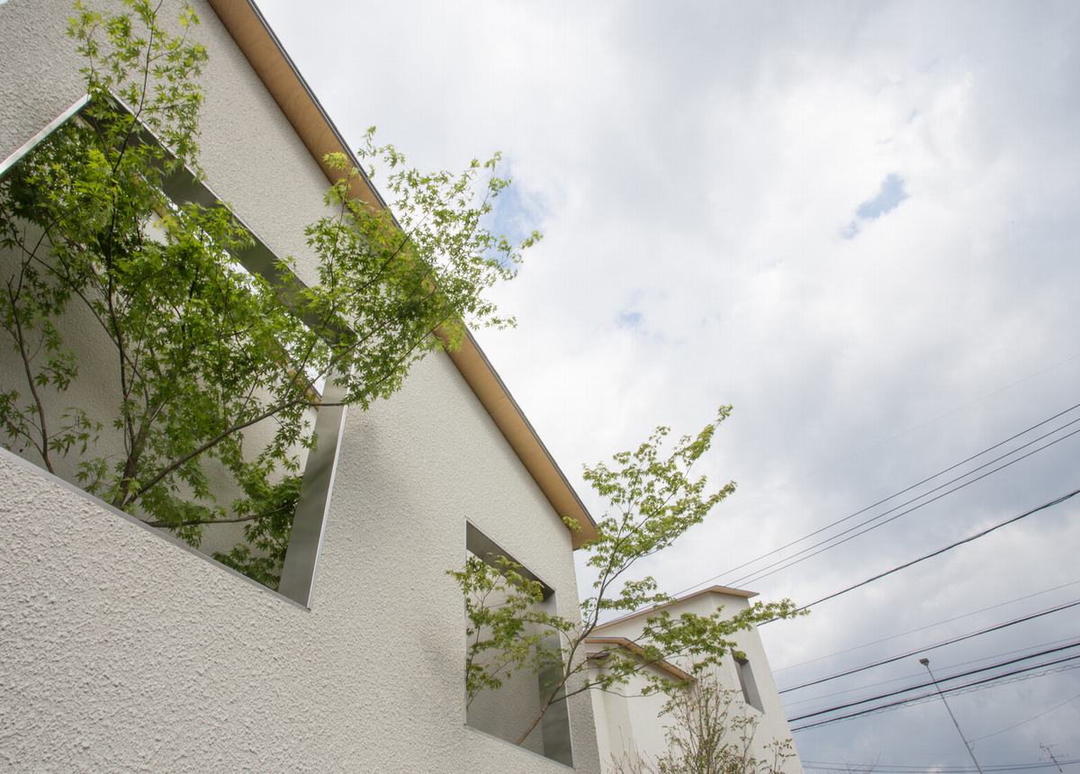 极简文艺范——牙科诊所Clinic NK-10