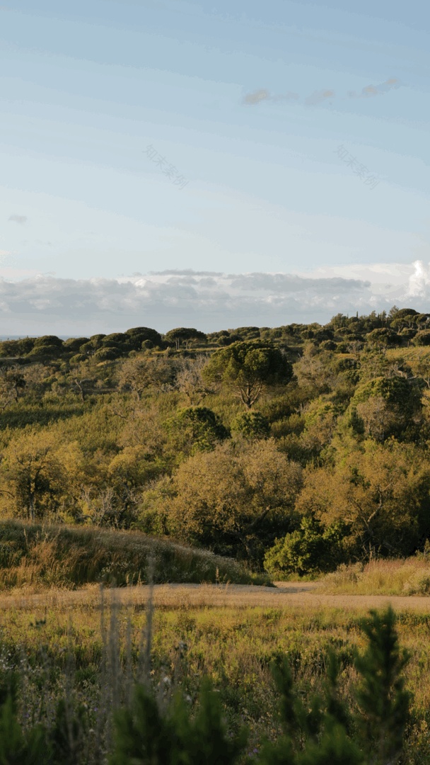 São Lourenço do Barrocal庄园丨葡萄牙丨Eduardo Souto de Moura-0